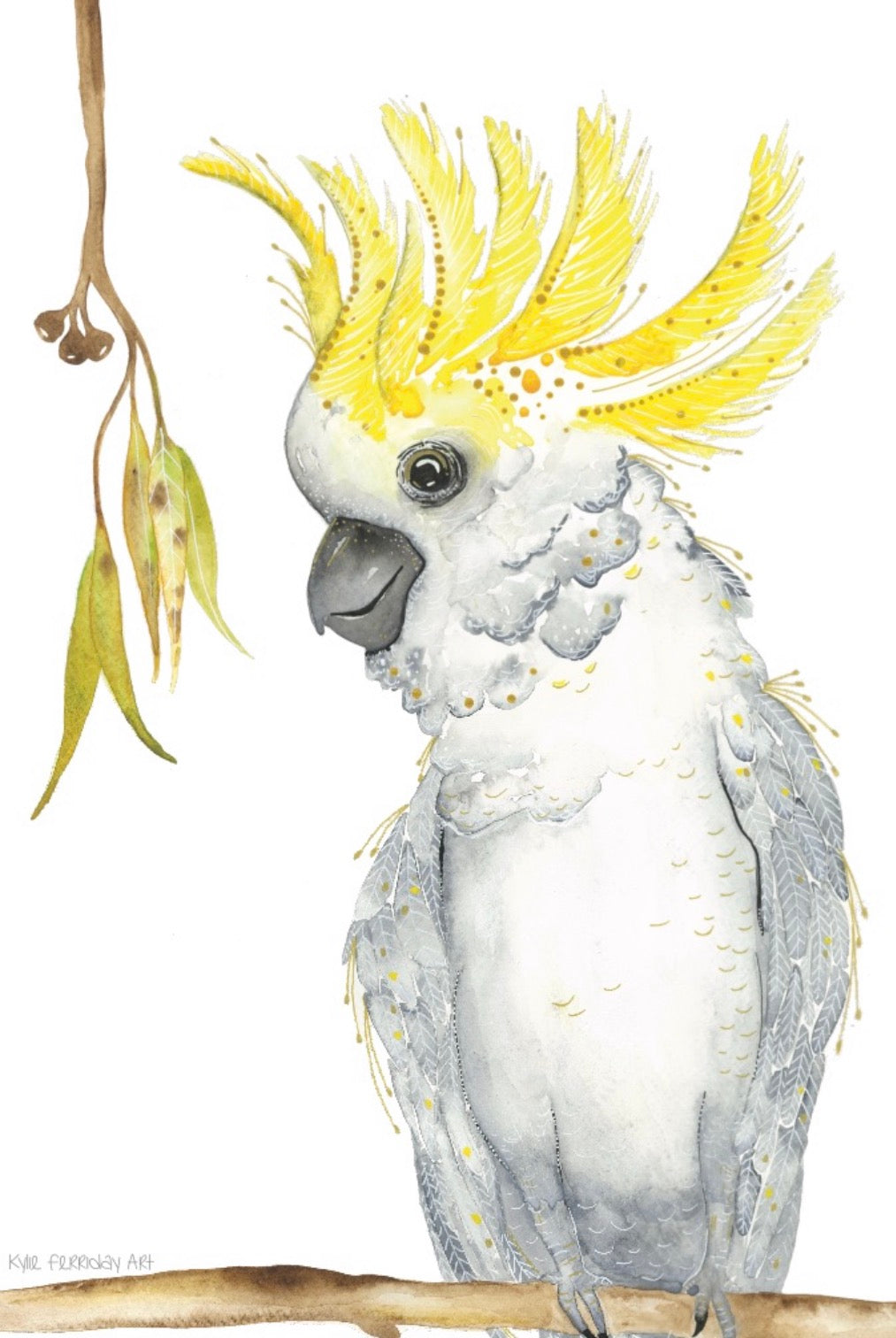 SULPHUR-CRESTED COCKATOO