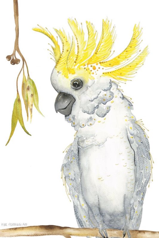 SULPHUR-CRESTED COCKATOO